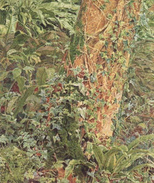 Albert Joseph Moore,ARWS Study of an Ash Trunk (mk46) Germany oil painting art